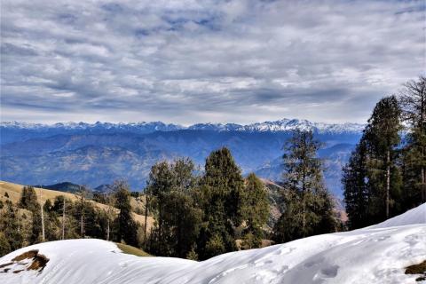 Snow slopes and pines with the Himalayas behind, Rakhed, Himachal Pradesh