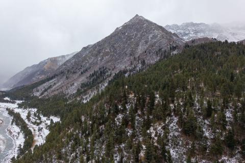 Snow-dusted forest and mountains, Rangrik area, Himachal Pradesh