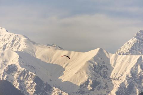 A paraglider over snowy Dhauladhar peaks