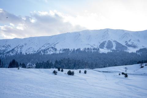 Snow meadows at Gulmarg, Kashmir